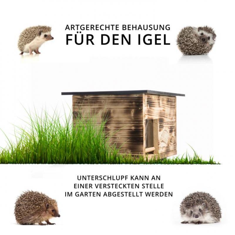 Woid Herz Igelhaus (IG3) gebrannt